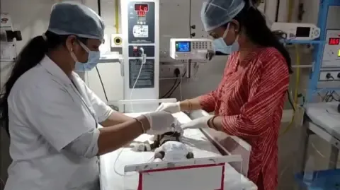 Newborn Buried Alive in India Battles for Survival