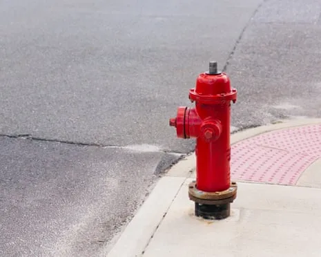 In 2009, Which famous figure Smashed a Premium Vehicle Straight into a Emergency Water Source?